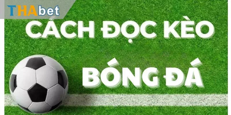 Cách đọc kèo bóng đá chi tiết